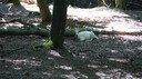 DSC03554.JPG