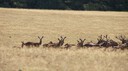 DSC03575.JPG