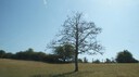 DSC03581.JPG