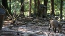 DSC03590.JPG