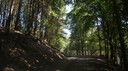 DSC03595.JPG