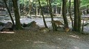 DSC03603.JPG
