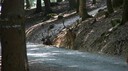 DSC03609.JPG