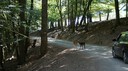 DSC03610.JPG