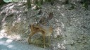 DSC03619.JPG