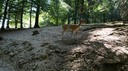 DSC03622.JPG